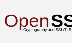 Featured image of post OpenSSL 及 X509 证书相关